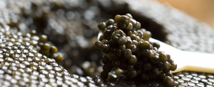 ¿Conoces los tipos de caviar?