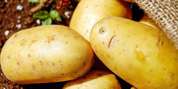 Tipos de patatas y aplicaciones en la cocina