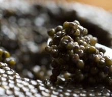 ¿Conoces los tipos de caviar?