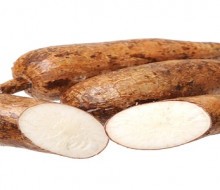 Mandioca: el alimento del futuro, autóctono del nordeste