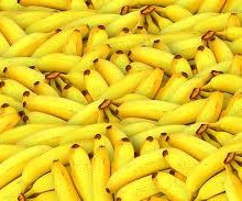 Todo lo que hay que saber del plátano