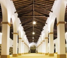 Encuentro Internacional del Vino a Granel de Ámsterdam